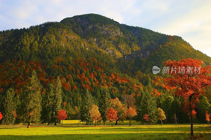 阿尔卑斯山景观在奥地利Tirol，附近Karwendel山脉和巴伐利亚阿尔卑斯山在德国-雄伟的高山景观在金色的秋天，戏剧性的Tyrol雪山全景和田园式的Tirol草地，奥地利