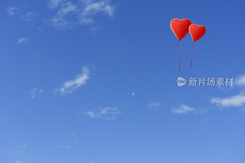 两个红色的心形气球和两只海鸥