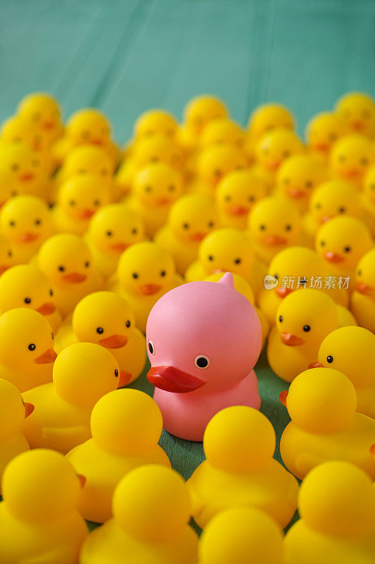 一只奇怪的粉红色外星人橡皮鸭被许多黄色的橡皮鸭包围着，被它们盯着看。