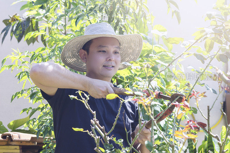 一位年轻的日本男子正在打理他的花园。