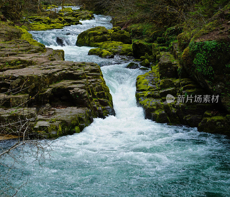 布莱斯溪原始池