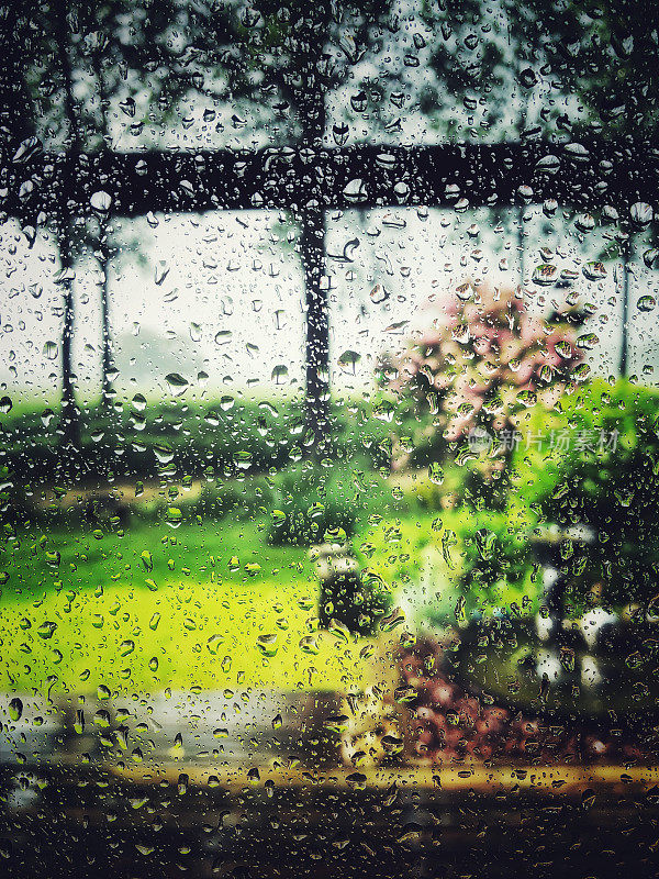 夏雨