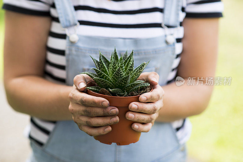 植物的生命