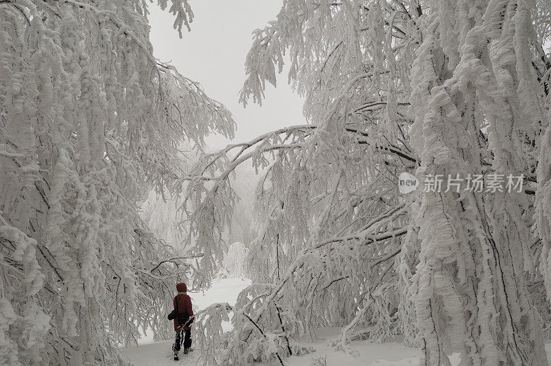 冬天和雪