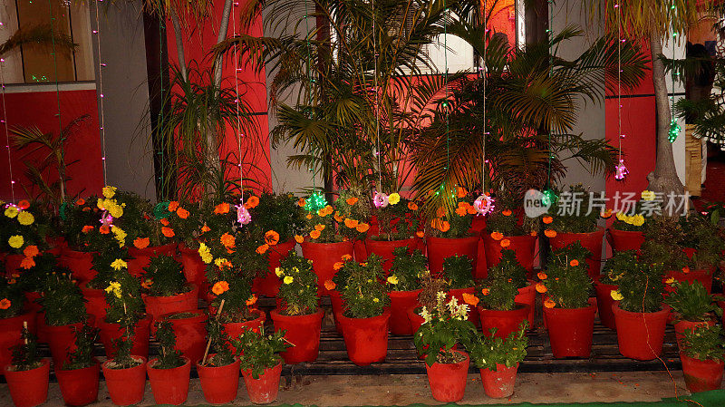 婚宴大厅装饰花盆