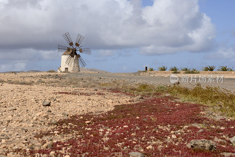 Fuerteventura,典型的风车