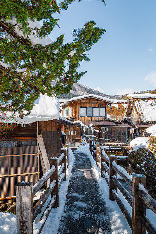 白川村有白雪和大桥，是日本冬季最适合旅游的地方