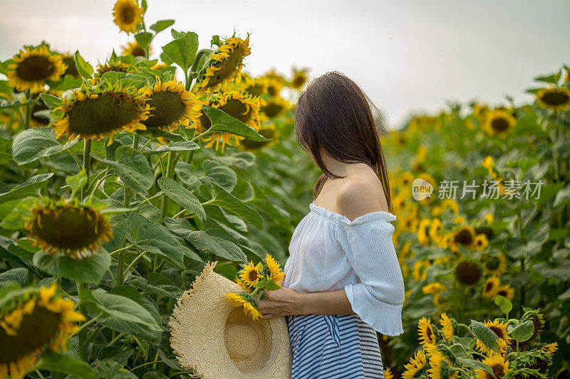 向日葵地里的美丽姑娘