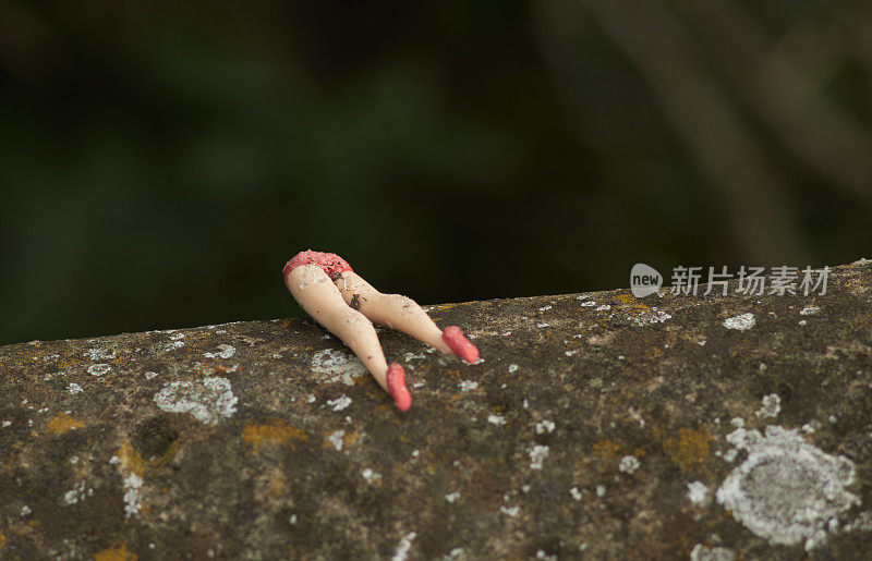 一个被遗弃在乡间墙上的破娃娃的腿