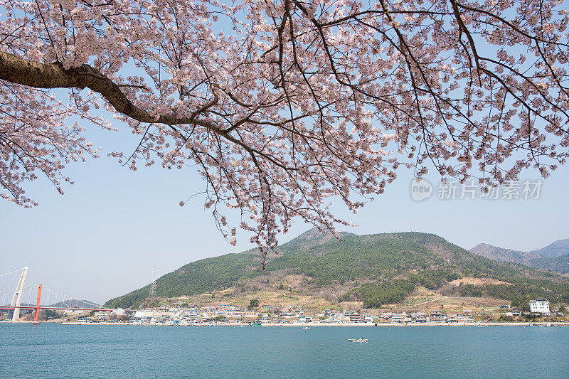 韩国南海的春天