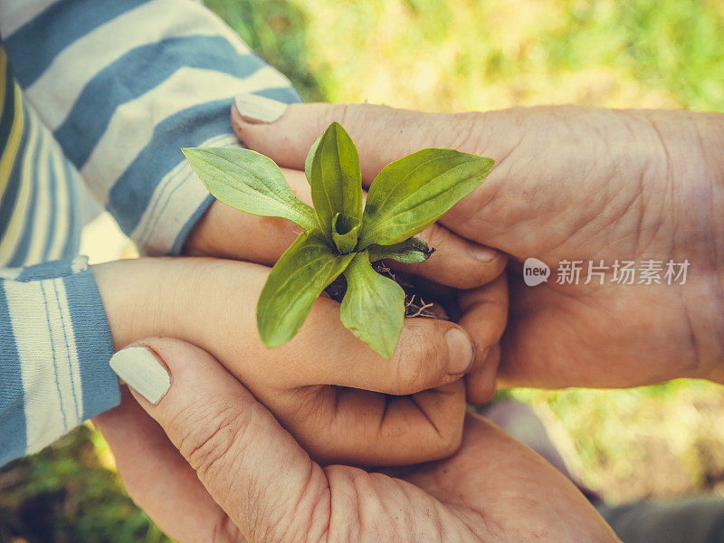 在植树节一起植树