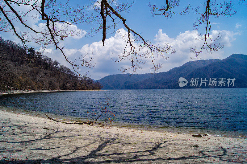 树和湖中真寺，日光，枥木县