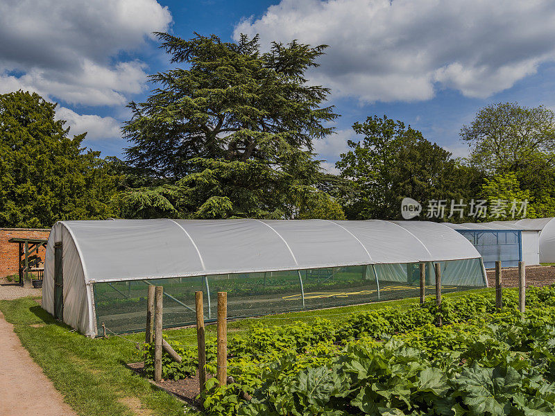 Polytunnels市场花园植物苗圃农场种植温室作物