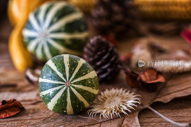 秋季背景，装饰南瓜与干花在木板上