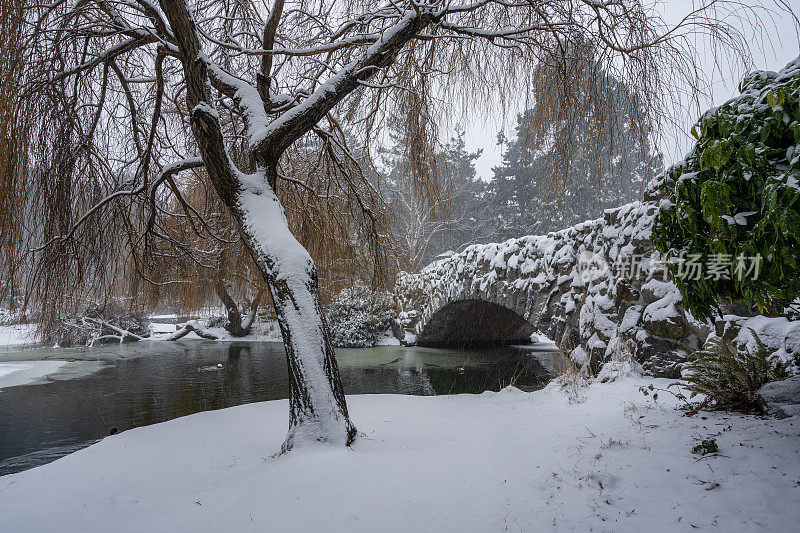 维多利亚BC灯塔山公园雪