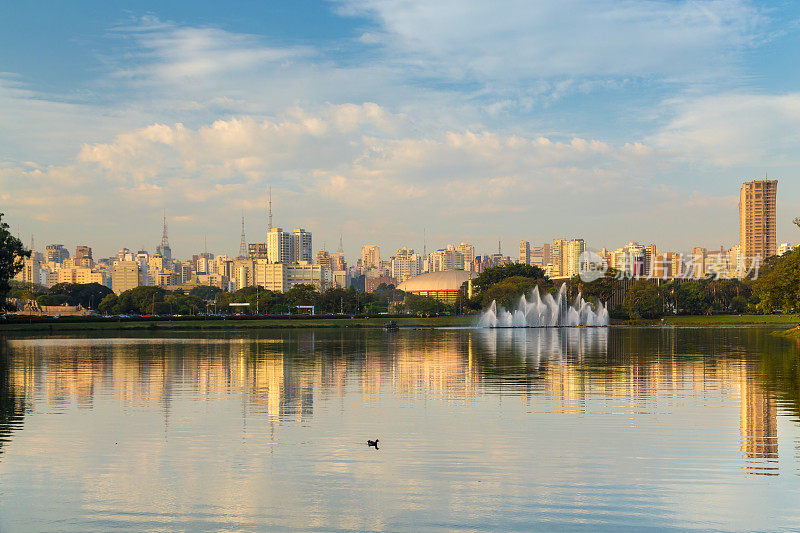 来自巴西Ibirapuera公园的圣保罗市