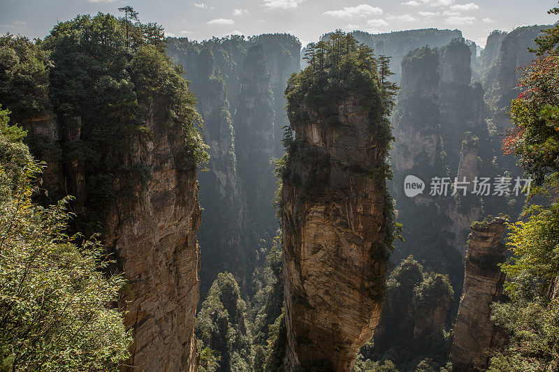 砂岩柱，张家界国家森林公园，中国