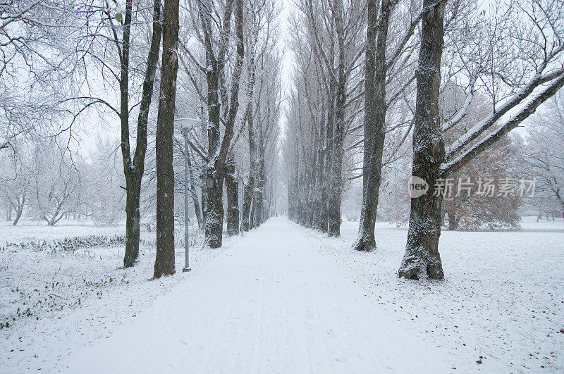 第一场雪