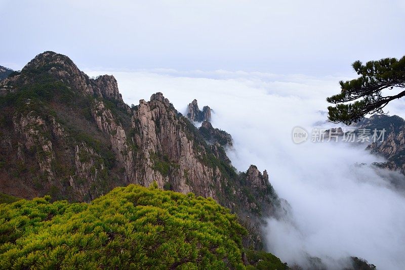 黄山山谷中的云流005