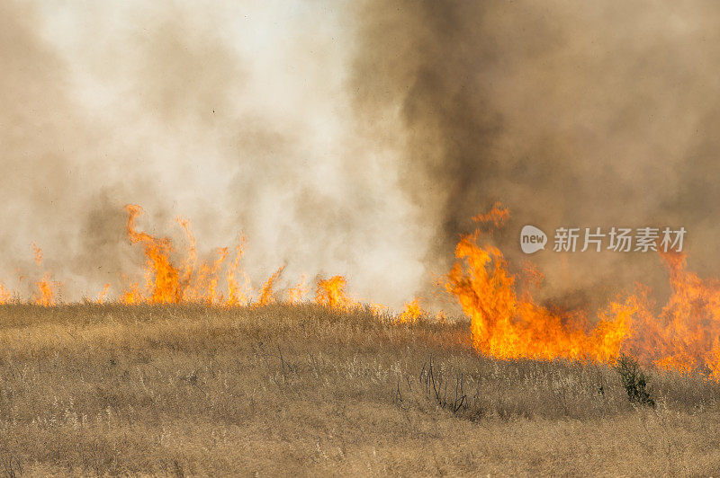 农村农场附近草地野火燃烧产生的烟雾和火焰