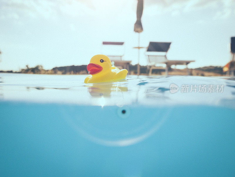 黄色的橡皮鸭在游泳池里漂浮