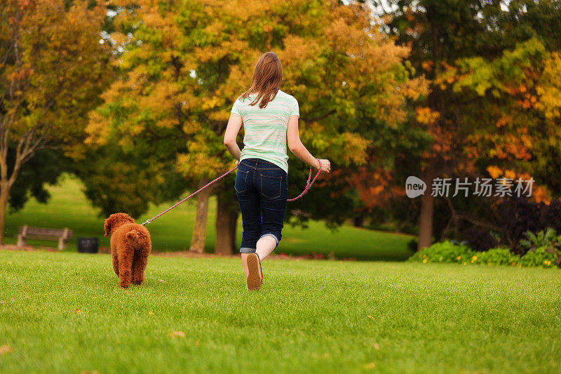 一个女人在秋天的自然公园遛狗