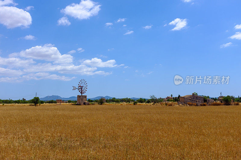 马略卡岛的传统风车风景