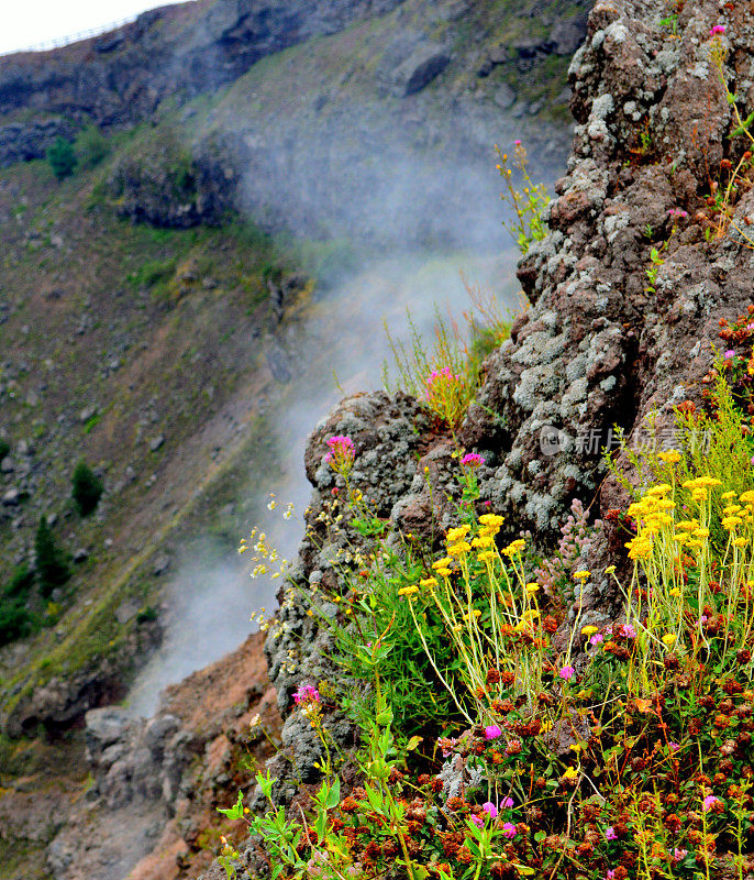 意大利维苏威火山口