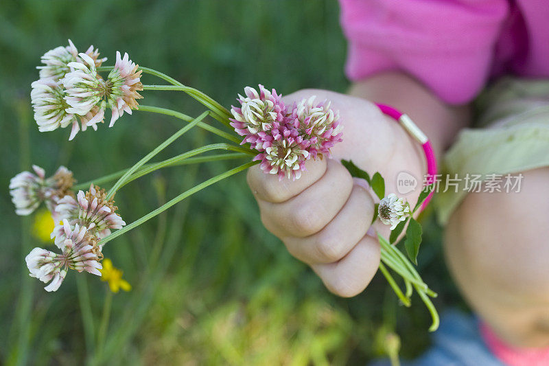 孩子采集野花