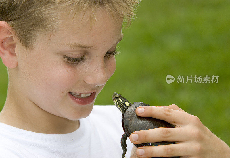 一个男孩抱着一只彩绘乌龟并看着它