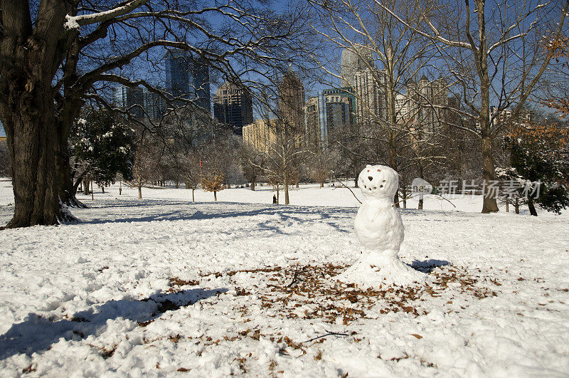 亚特兰大皮埃蒙特公园的雪人