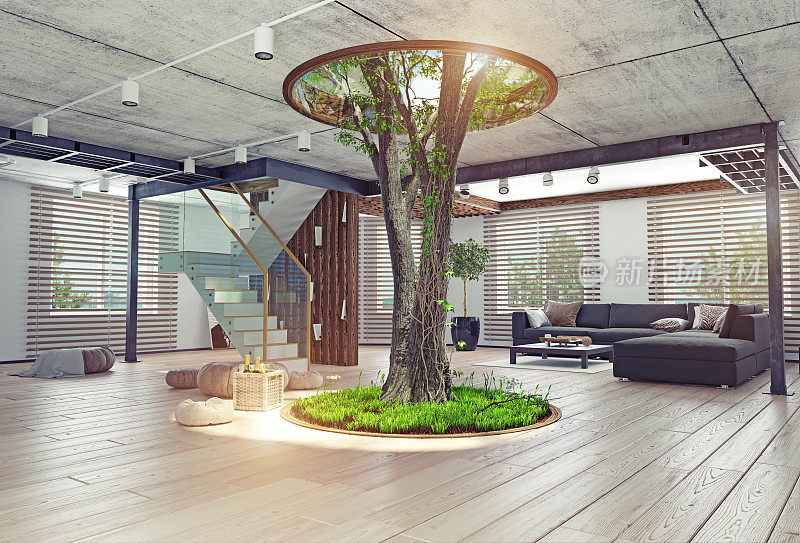 真正的室内活树概念