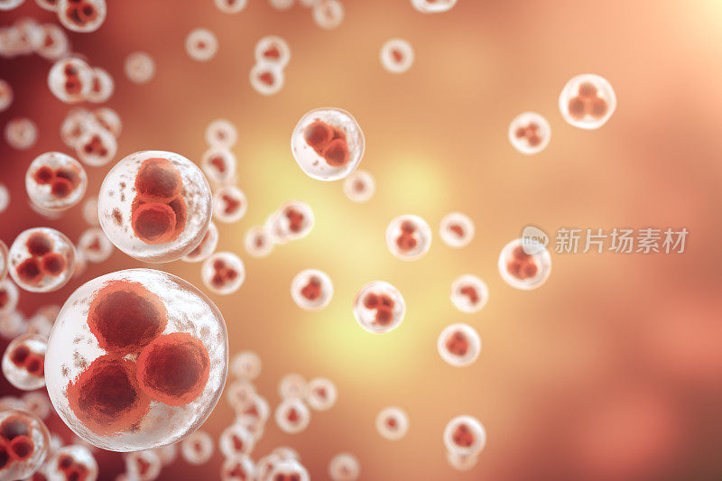 红细胞的背景。生命生物学、医学科学、分子研究