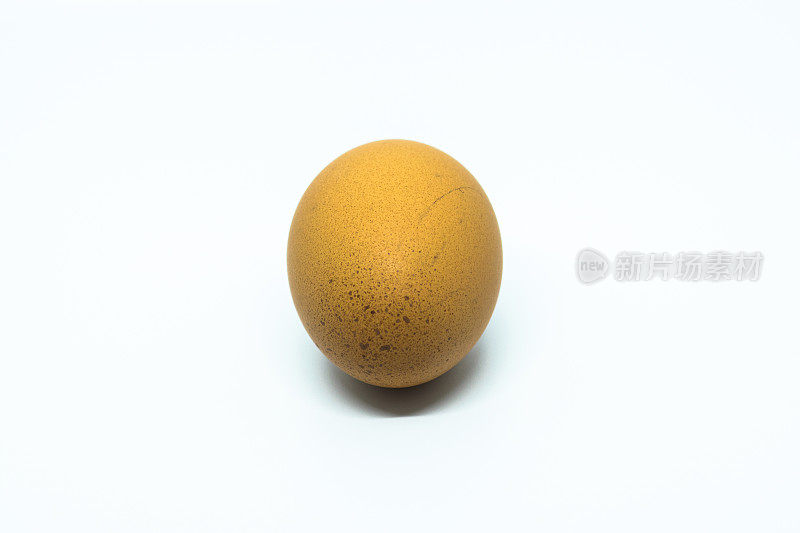 一个单独的棕色鸡蛋分离在白色上。