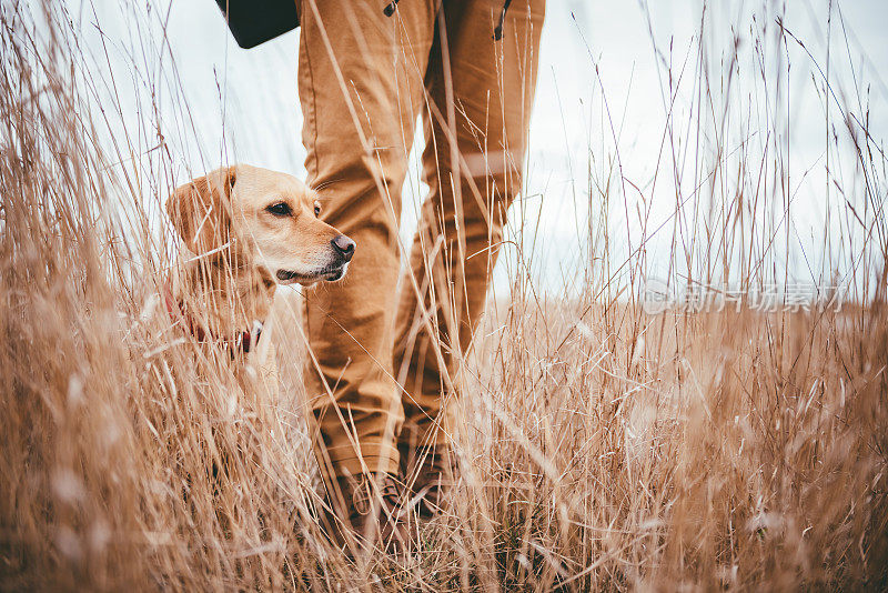 草原上的徒步旅行者和狗