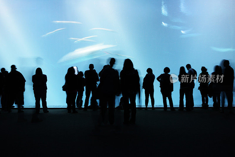 水族馆游客剪影看鱼