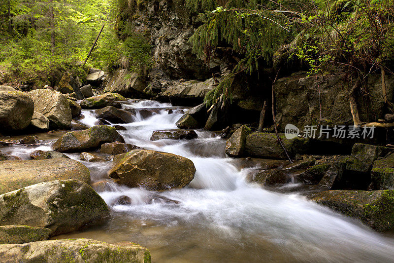 森林中的河流