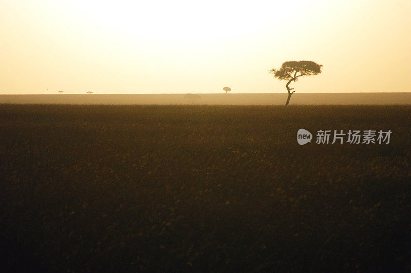 草原上的日出——马赛马拉