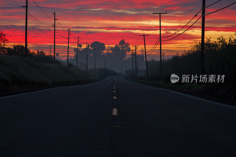 清晨的道路