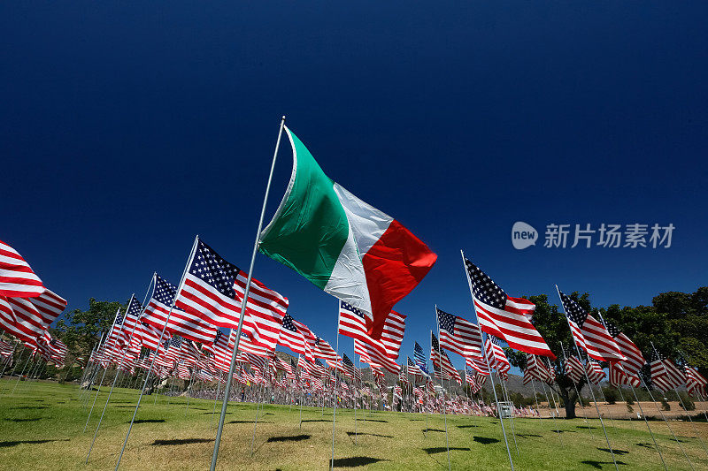 意大利国旗在美国国旗领域