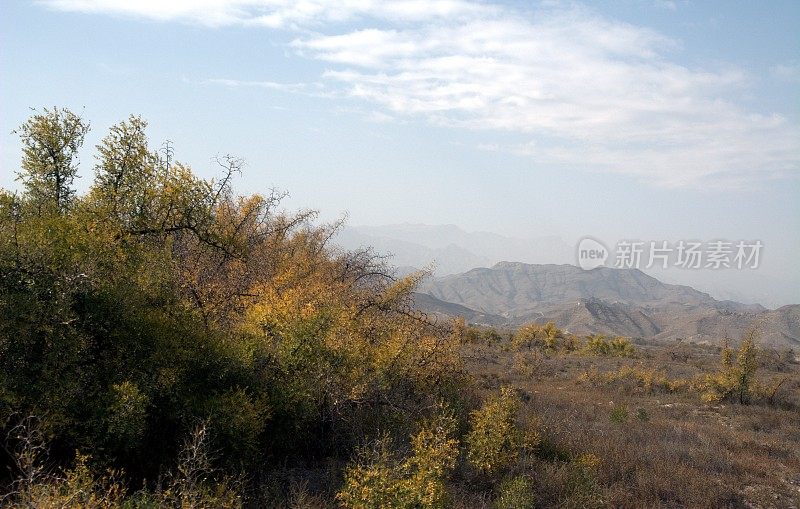 贺兰山在中国宁夏