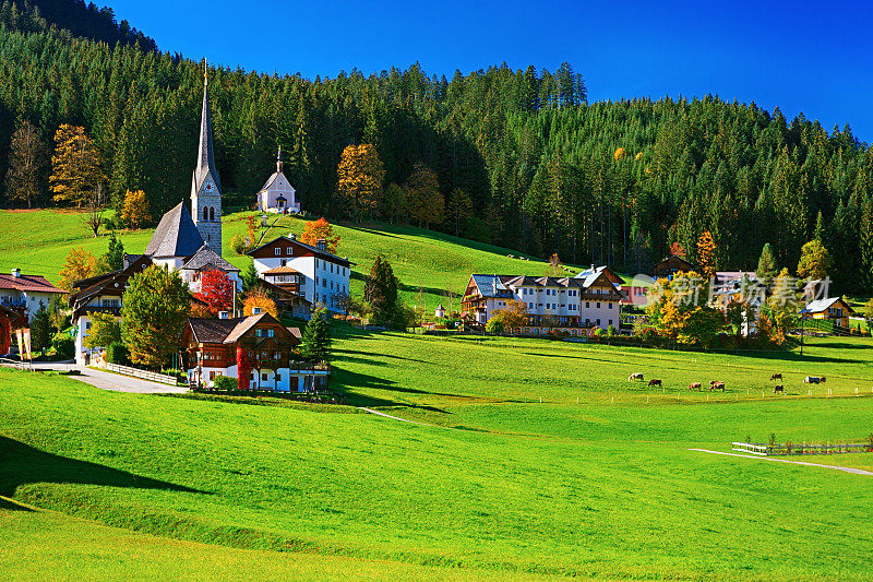 奥地利萨尔兹卡默古特戈索山谷的秋景