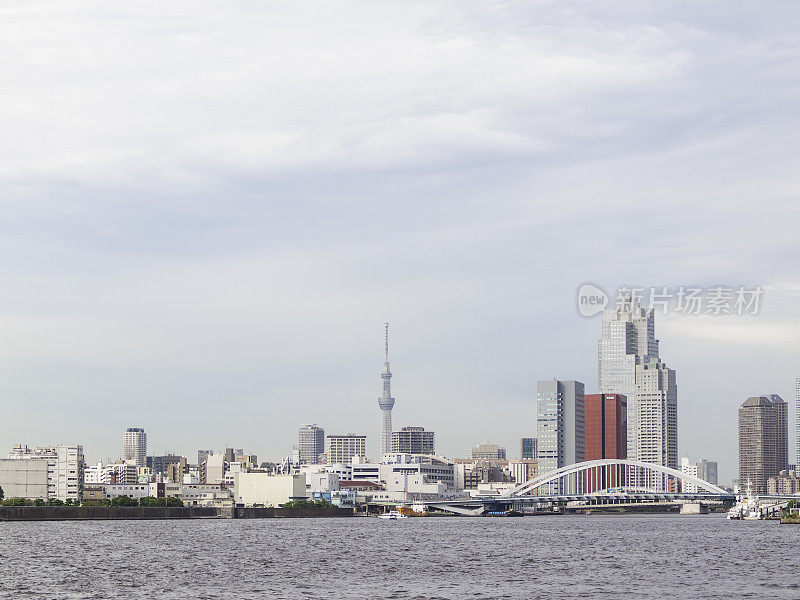 从台场岛俯瞰东京