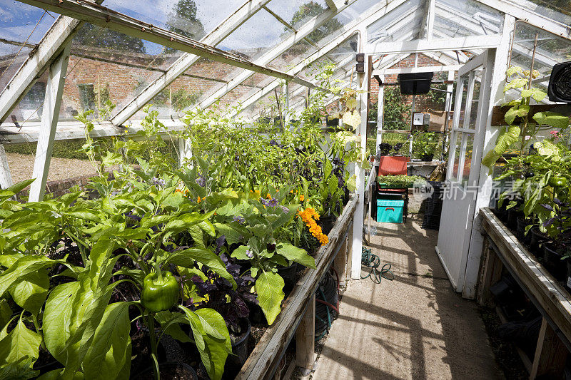 温室内