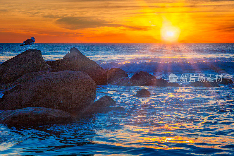 加州海岸，圣地亚哥科罗纳多海滩的日落