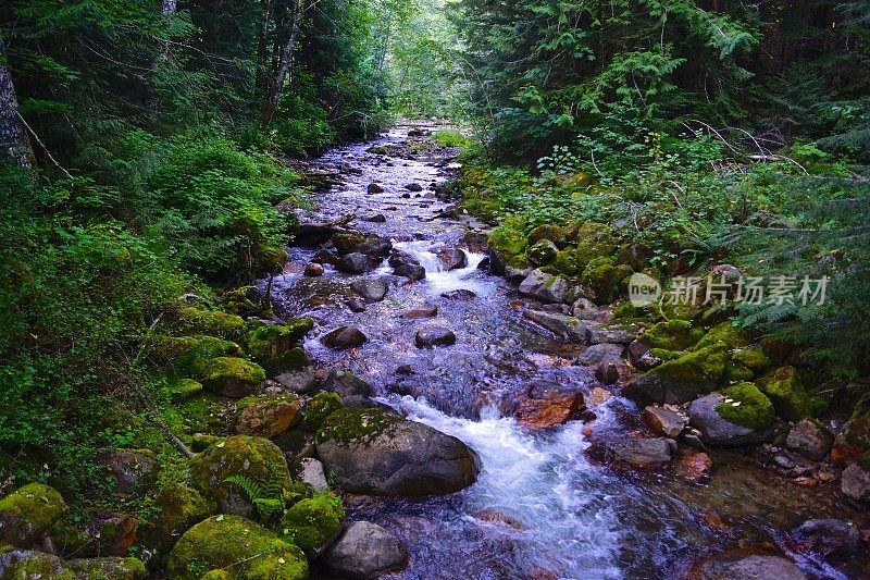 冰川峰溪