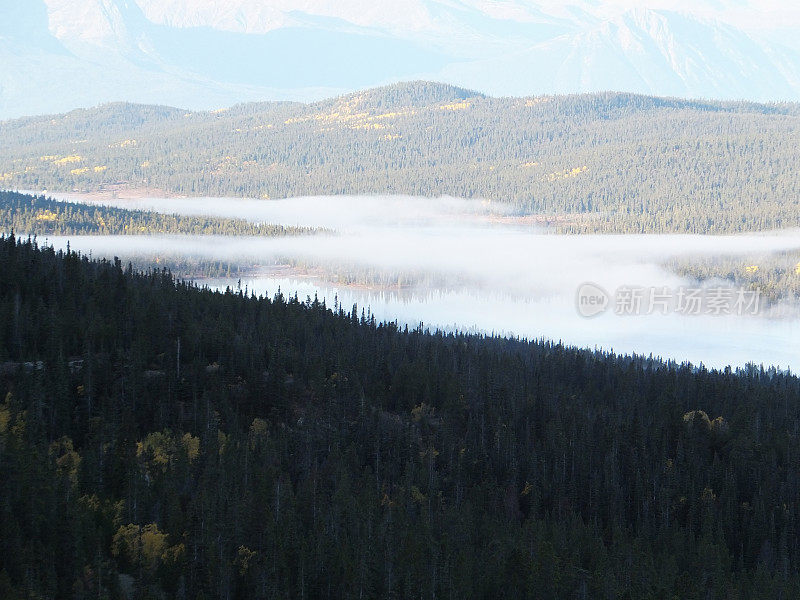 雾悬浮在湖面上