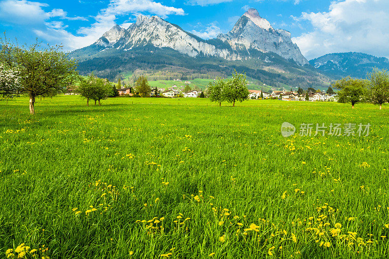 瑞士的春天风景