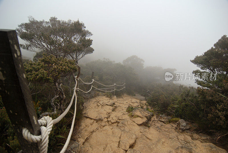 雾中的基纳巴卢山步道