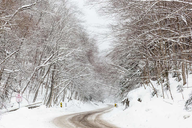 雪道路2